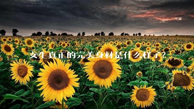 女生真正的完美身材是什么样子？