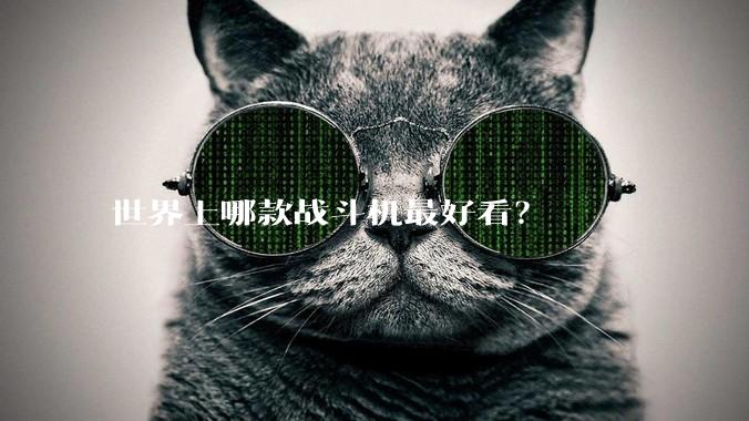 世界上哪款战斗机最好看？