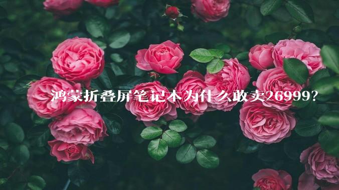 鸿蒙折叠屏笔记本为什么敢卖26999？