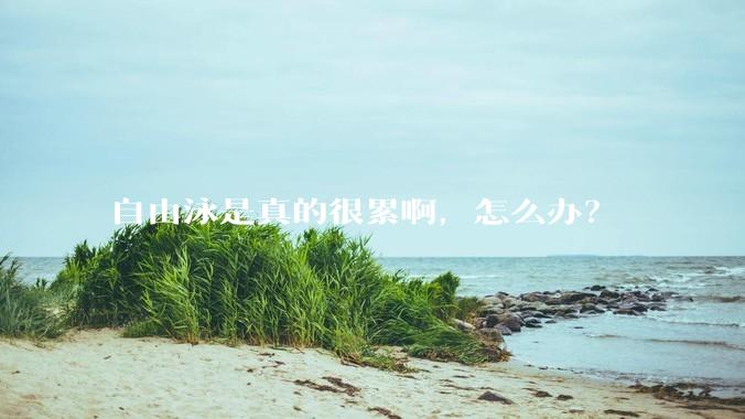 自由泳是真的很累啊，怎么办？